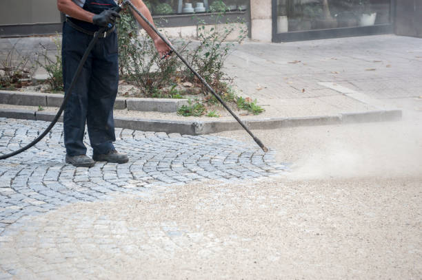 Best Roof Washing  in Carthage, NY